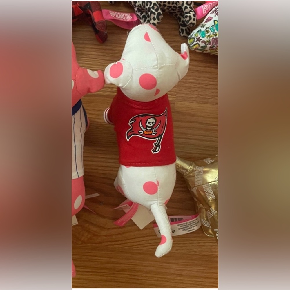 Victorias Secret Bucs football dog
